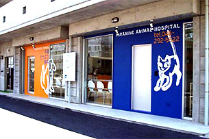 ����ǂ��Ԃa�@�@�ʐ^